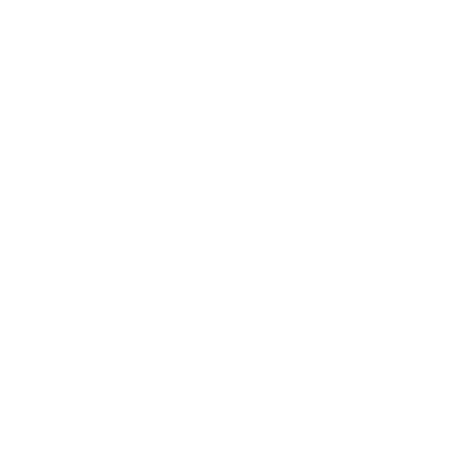 Bozeman Spirits